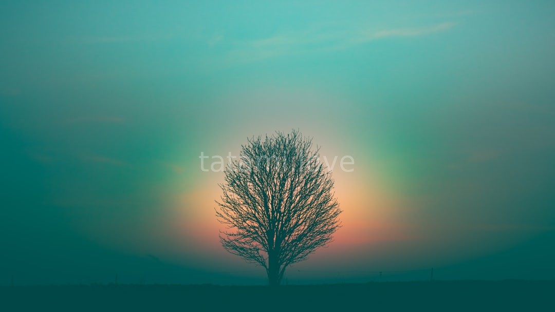 Breathwork
